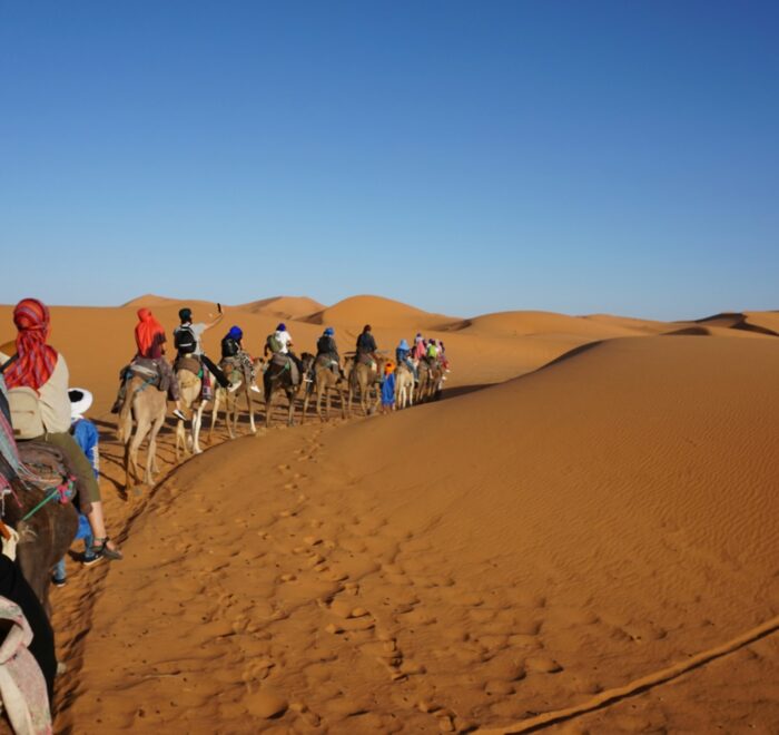 Overnight Camel Trekking in Merzouga