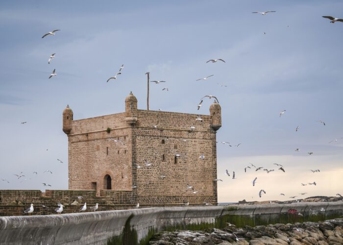 1 Day Trip to Essaouira from Marrakech