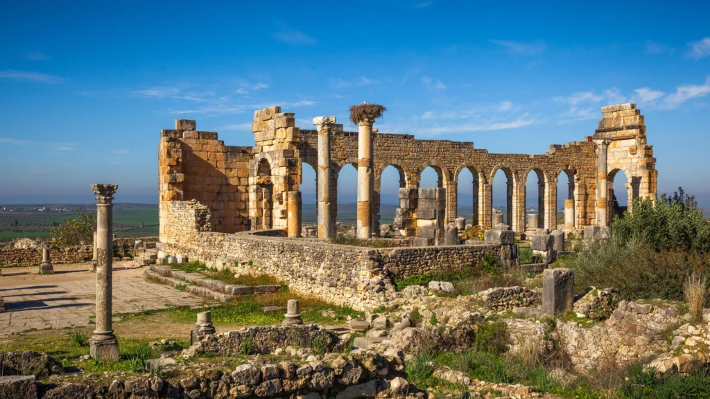 1 Day Trip to Meknes & Volubilis from fes
