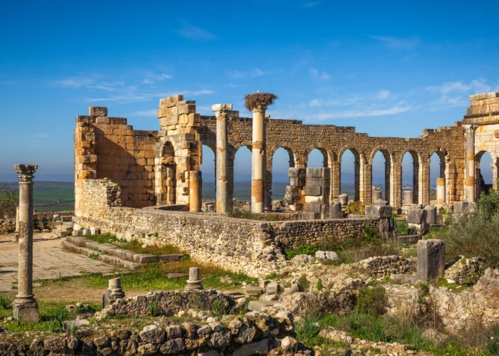 1 Day Trip to Meknes & Volubilis from fes