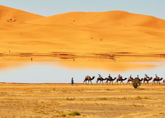 4 Day Desert Tour From fes
