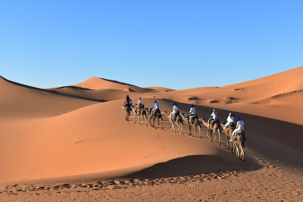 https://unsplash.com/fr/s/ph10 Day Tour From fes to Marrakech Via Rabatotos/merzouga
